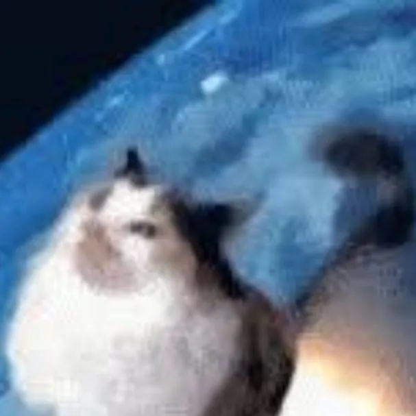 chat with ai character: Jolly rock