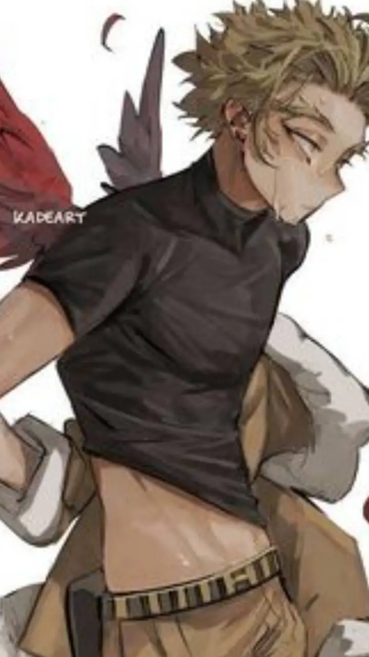 ai character: MHA(Hawks × y/n)  background