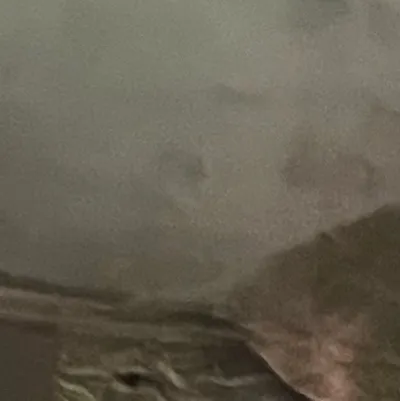 chat with ai character: cookie:￼