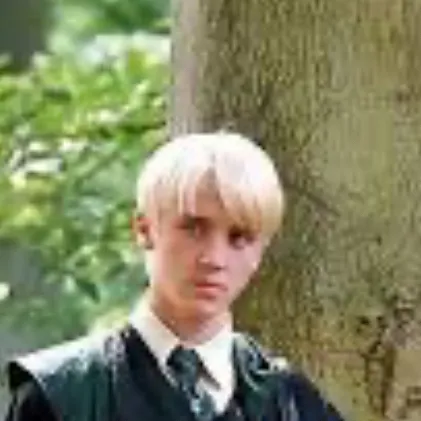 chat with ai character: Draco malfoy 