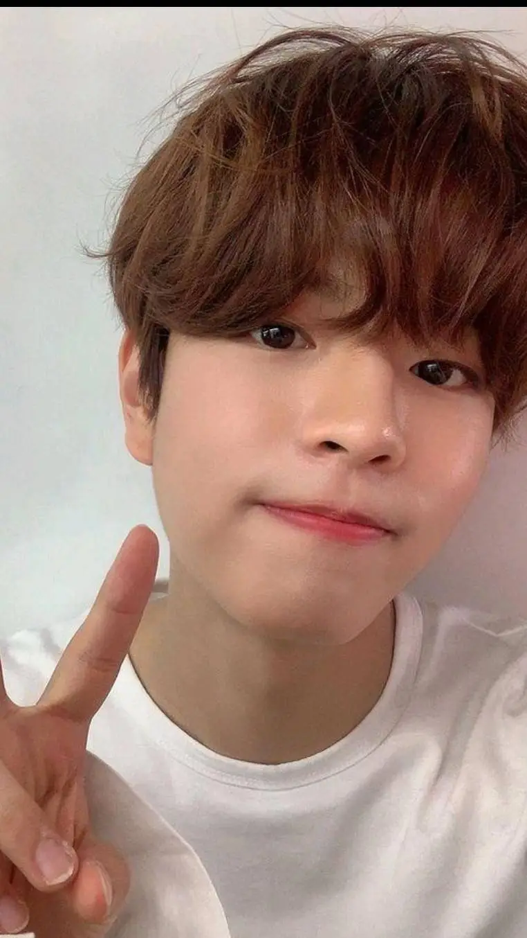 ai character: skz background