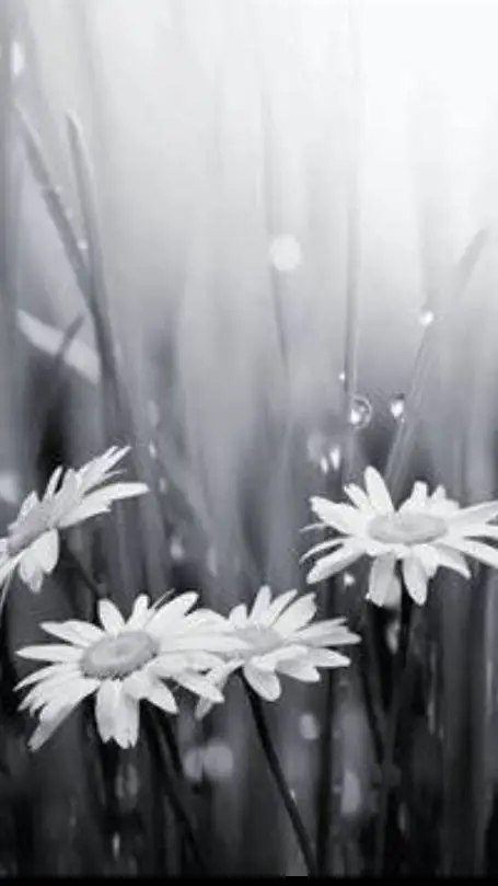 ai character: pick me prt 4 background