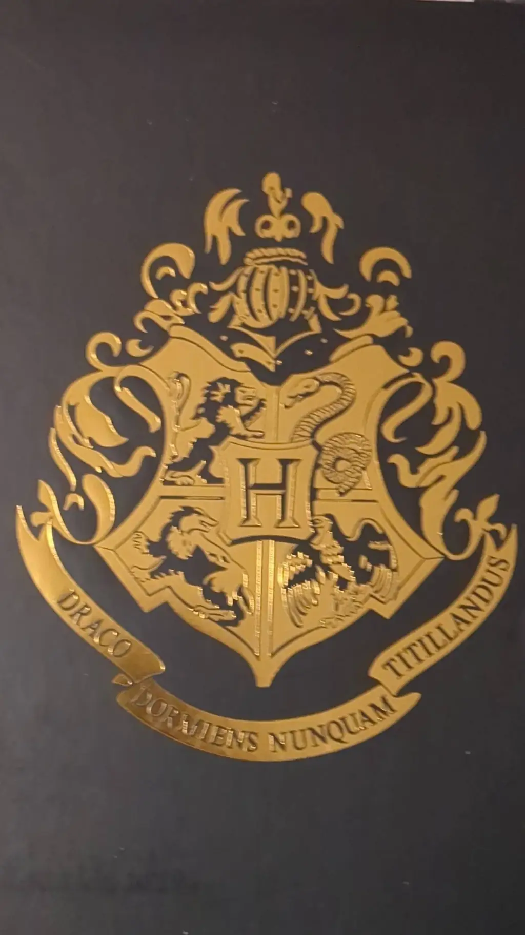 ai character: Harry Potter univ background