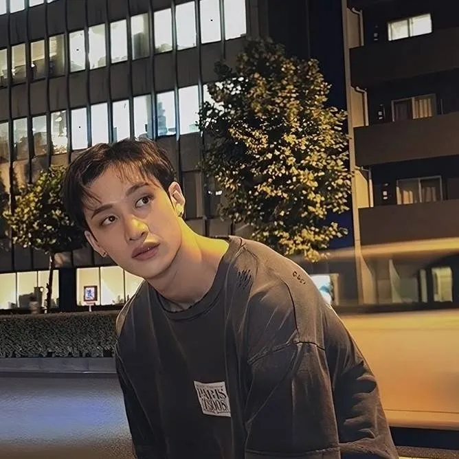 chat with ai character: Bangchan(chan)