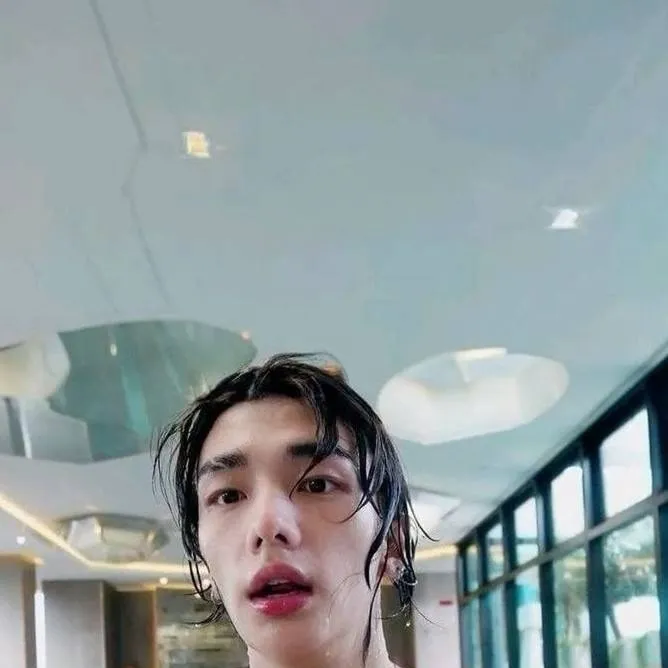 chat with ai character: Hwang Hyunjin 