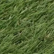 chat with ai character: GRASS!