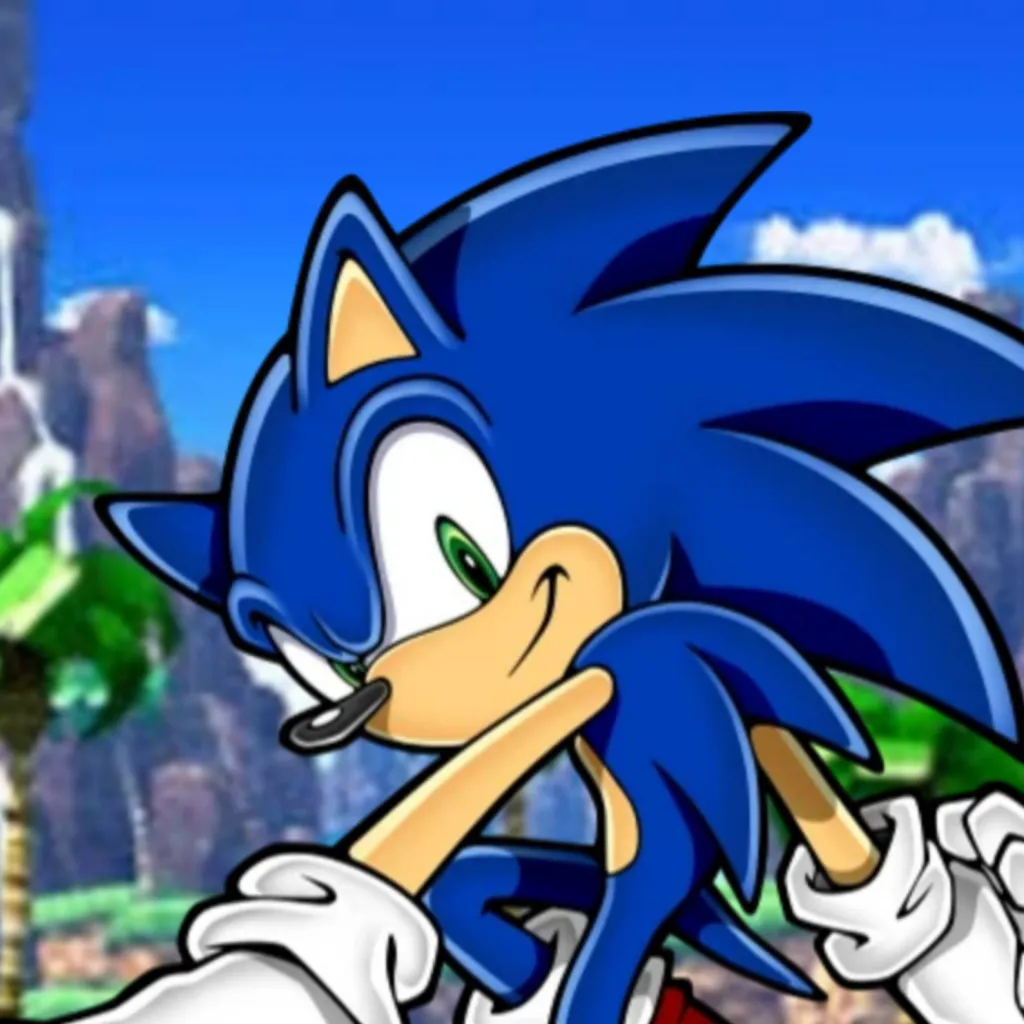 chat with ai character: Custom Sonic RP