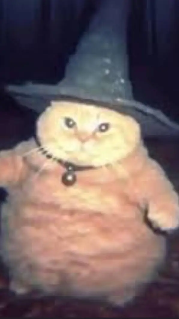 ai character: magordito🧙‍♂️🐱 background