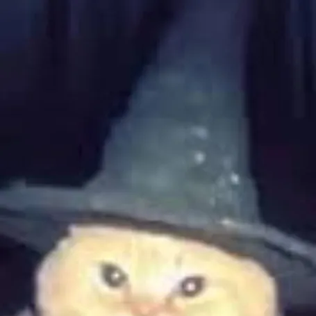 chat with ai character: magordito🧙‍♂️🐱