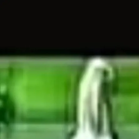 chat with ai character: whis borracho