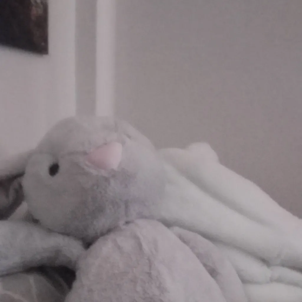 chat with ai character: Racoon