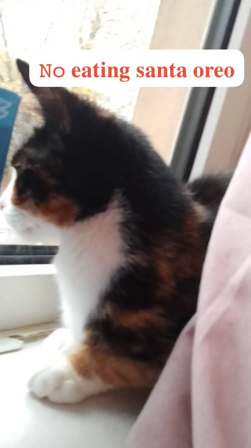 ai character: CECE background