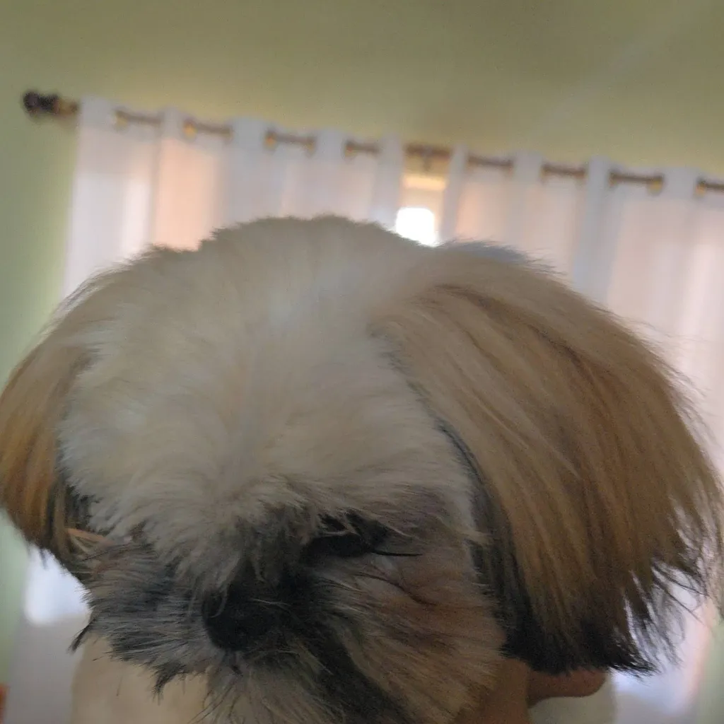 chat with ai character: My doggie.🐕