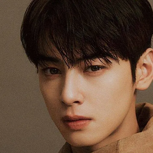chat with ai character: cha eun woo 