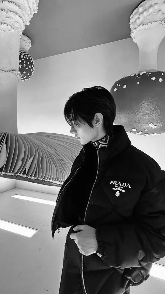 ai character: Sunghoon background