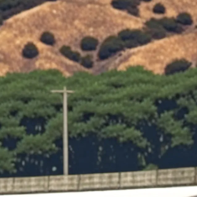 chat with ai character: 4 autos coloreados