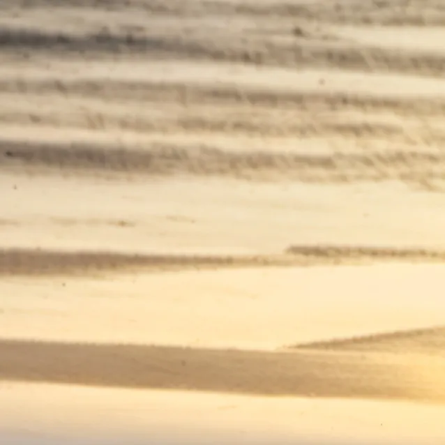 chat with ai character: idk