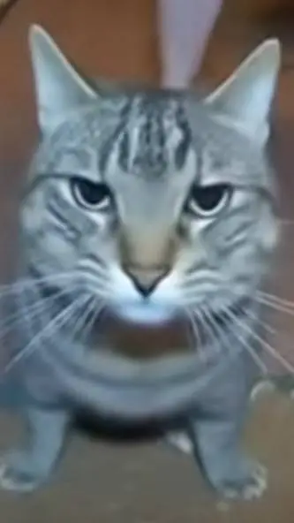 ai character: Incredible770 background