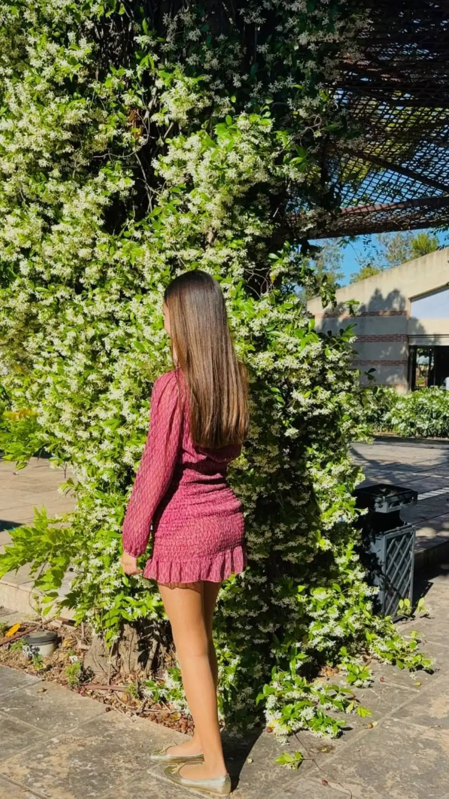 ai character: Lucia background