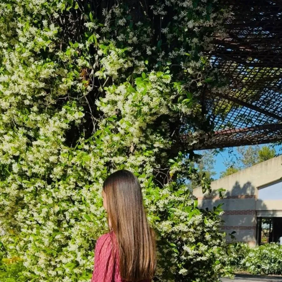 chat with ai character: Lucia