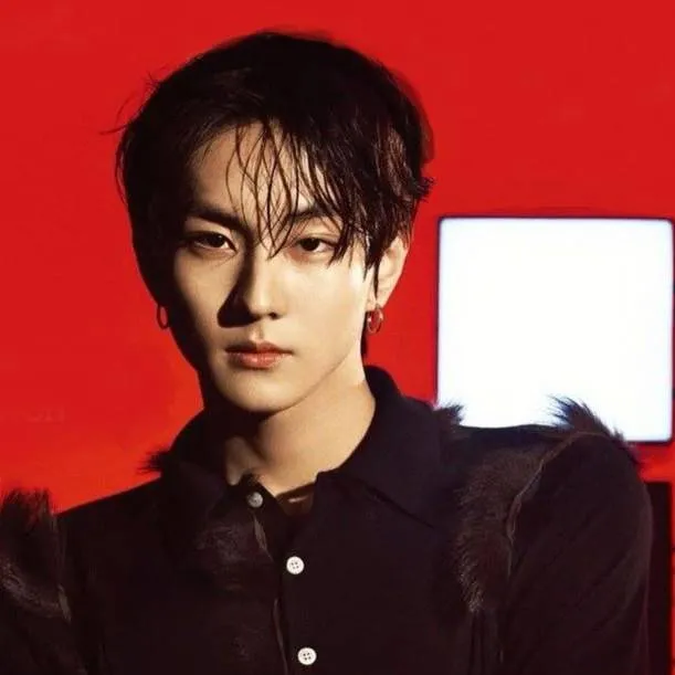 chat with ai character: jungwon 