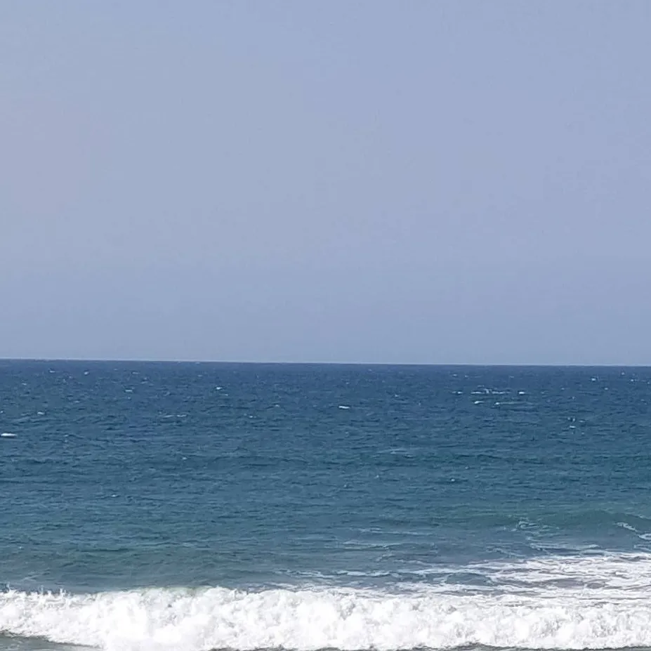 chat with ai character: beach