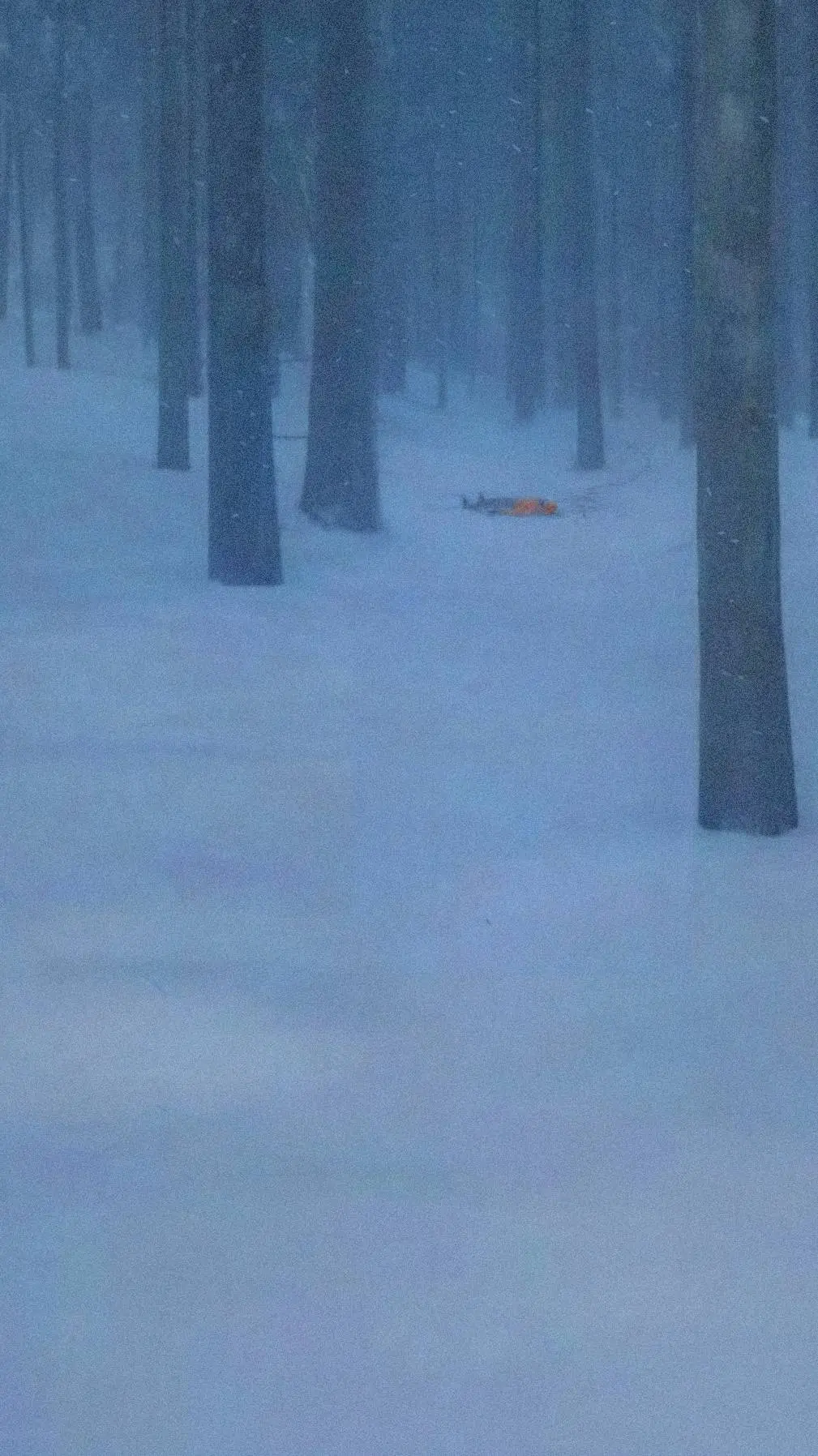 Talkie AI - Chat with Person in snow 