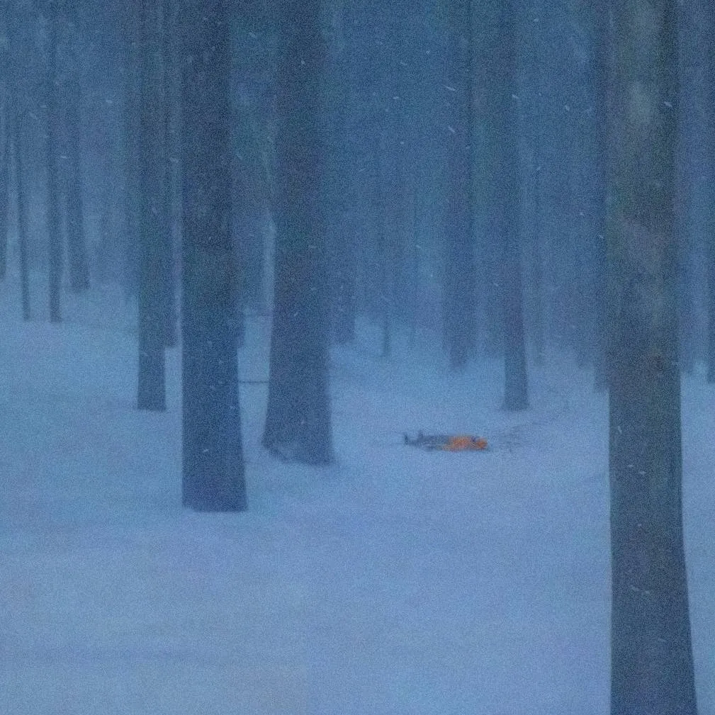 chat with ai character: Person in snow 