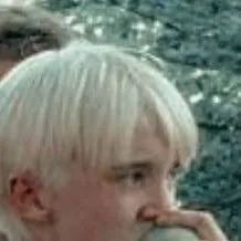 chat with ai character: 🍏Draco Malfoy🍏