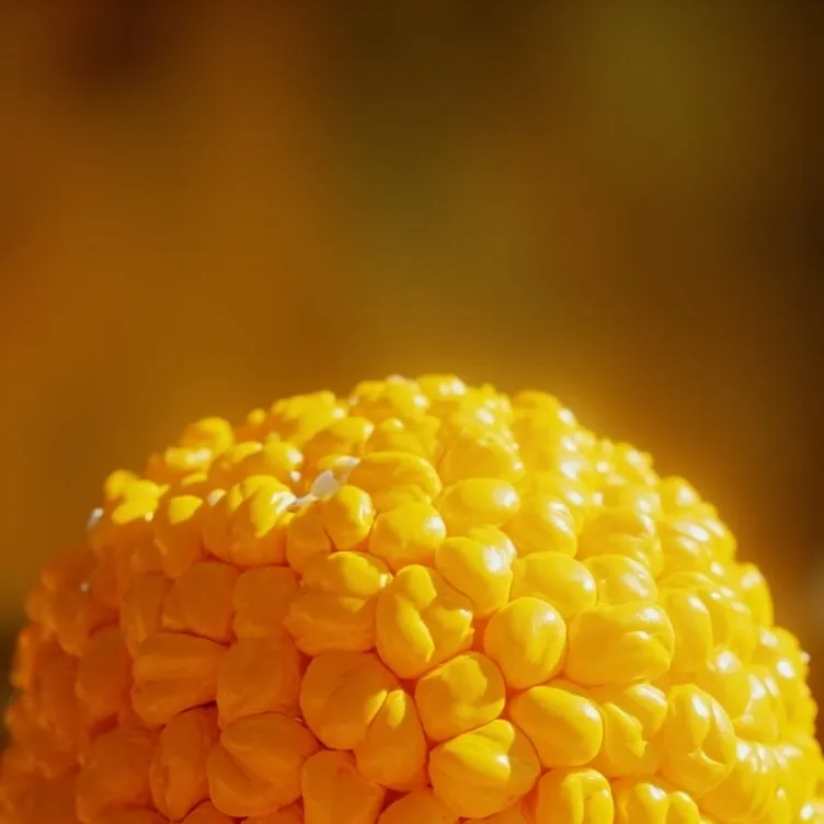 chat with ai character: cornball