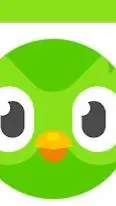 ai character: duolingo background