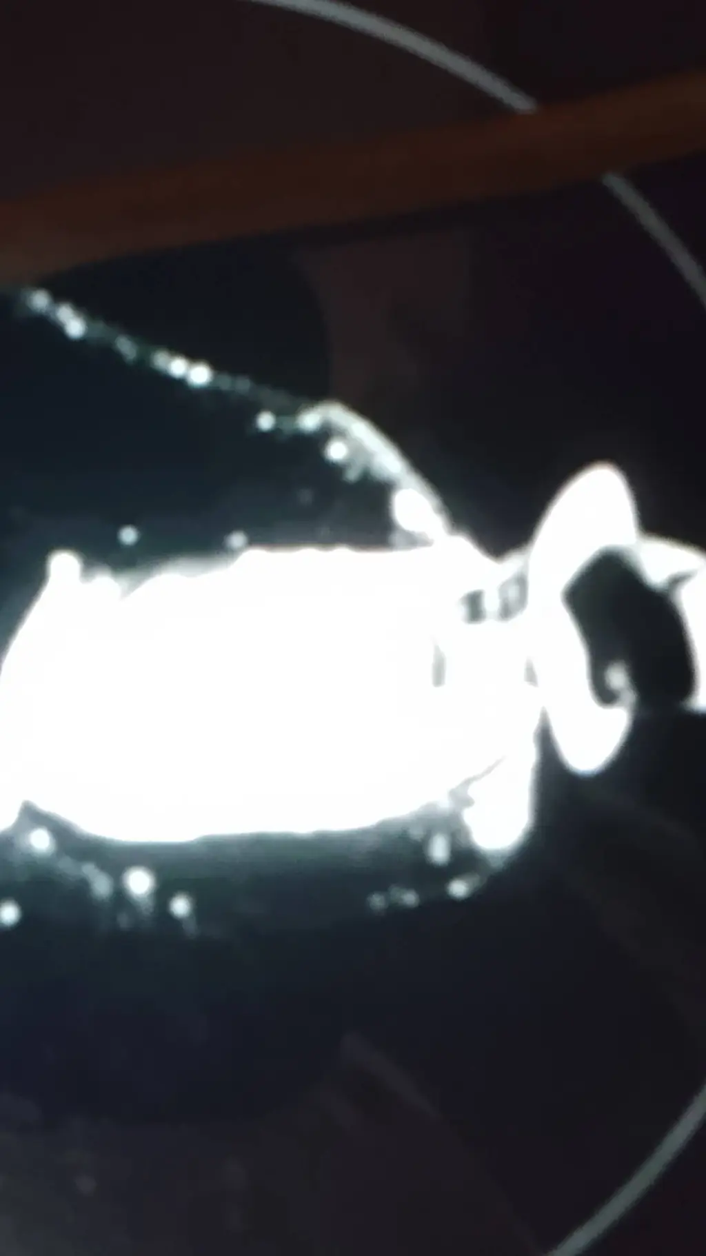 ai character: historia hechizada background