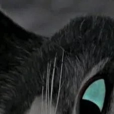 chat with ai character: Kitty