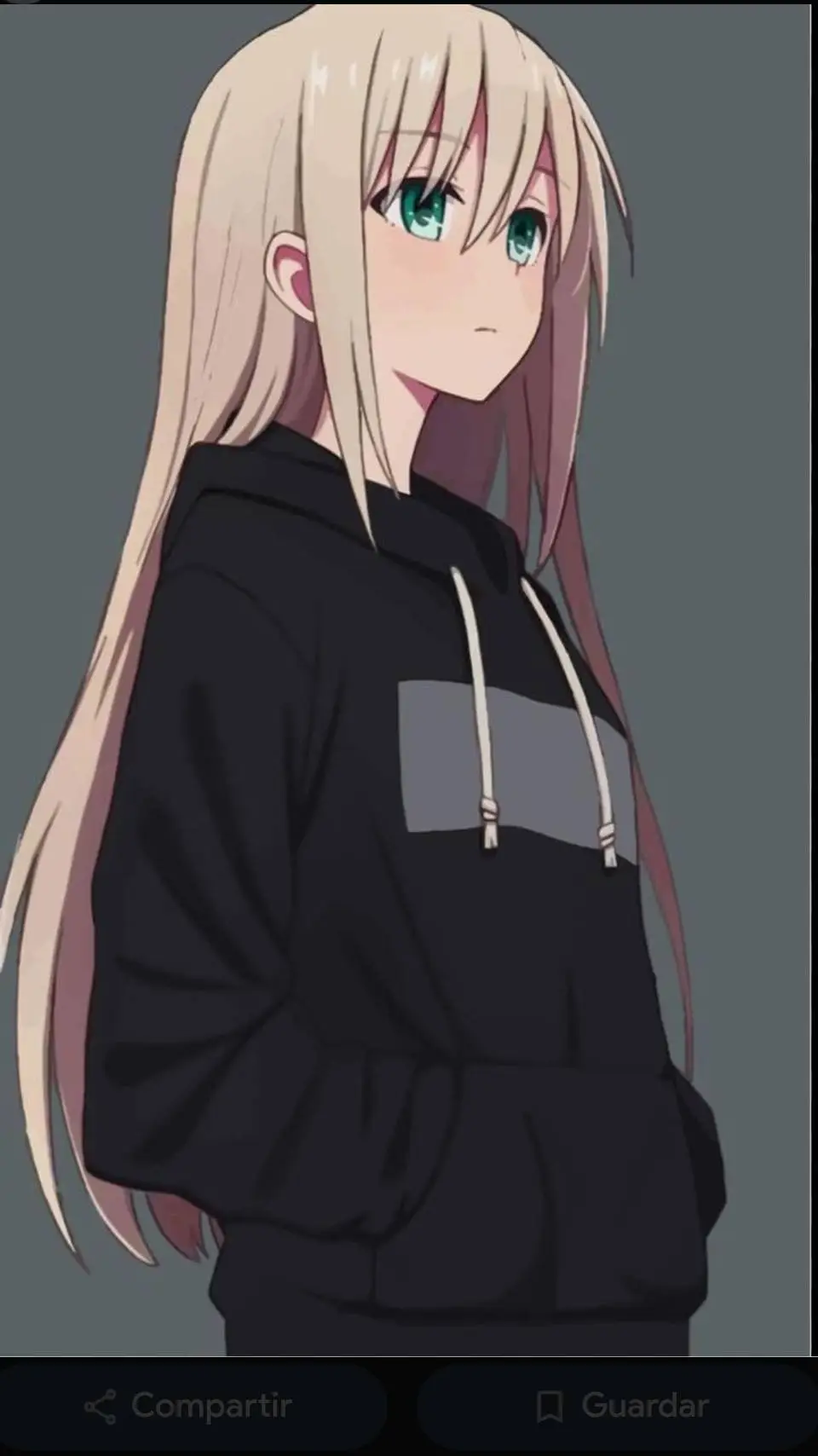 ai character: Nicol background