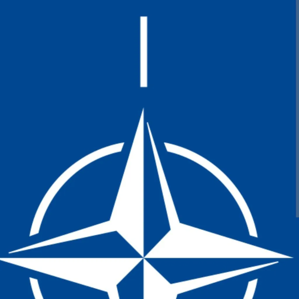 chat with ai character: NATO