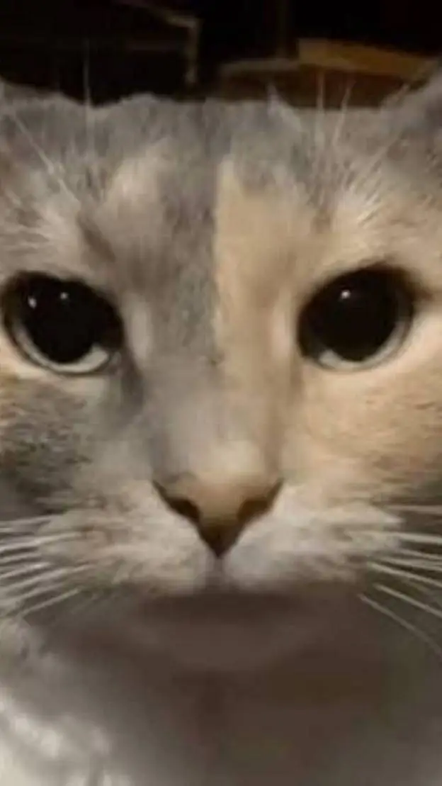 ai character: THE GROUP!  background