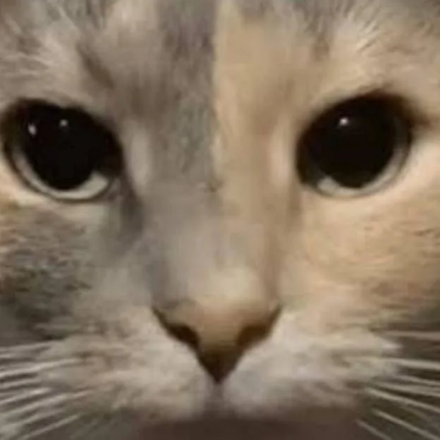 chat with ai character: THE GROUP! 