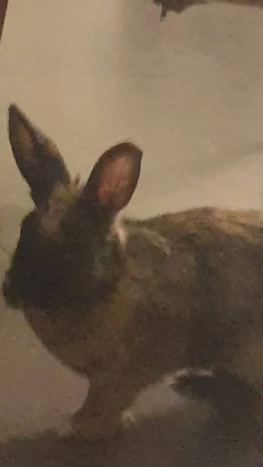 ai character: jason background