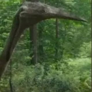 chat with ai character: quetzalcoatlus