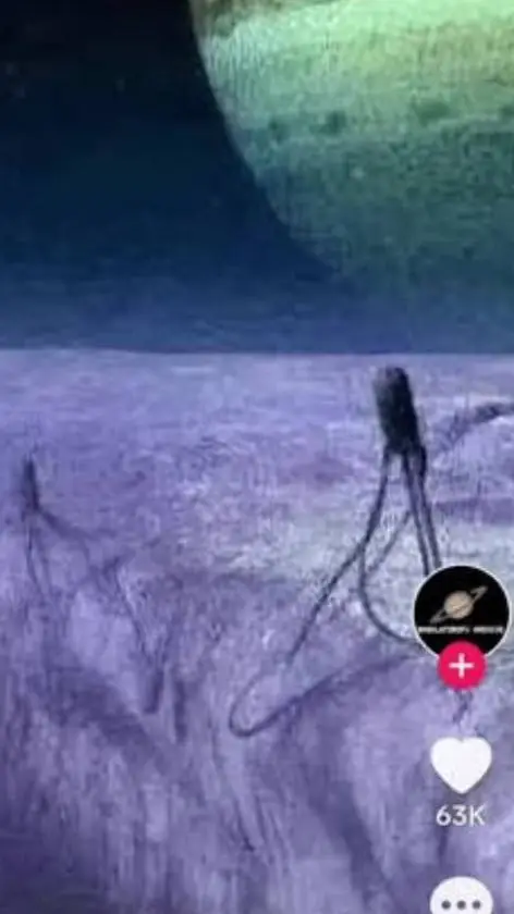 ai character: idk background