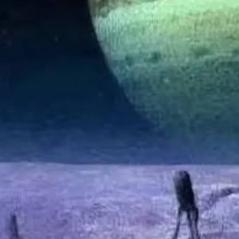 chat with ai character: idk