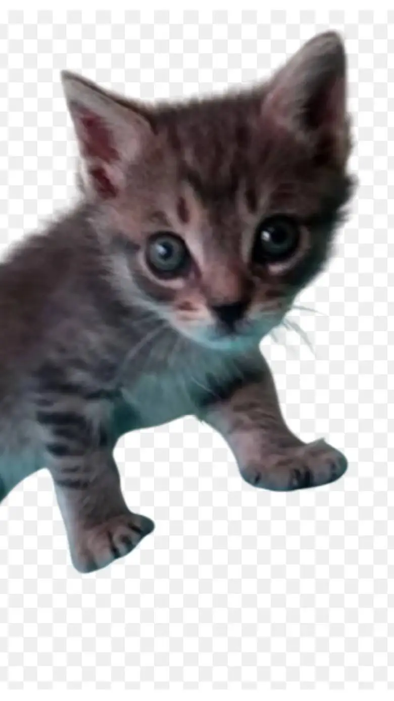 ai character: lamine background