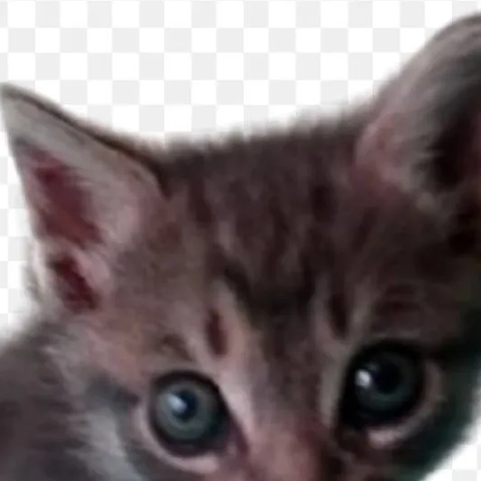 chat with ai character: lamine