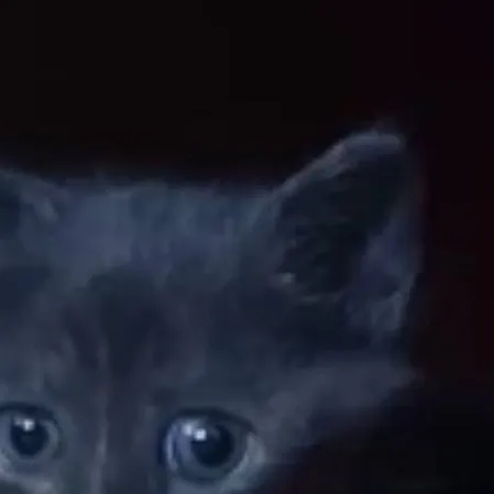 chat with ai character: lupita