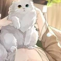 chat with ai character: toi chat × Maître