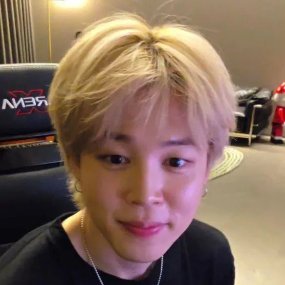 chat with ai character: Park Jimin
