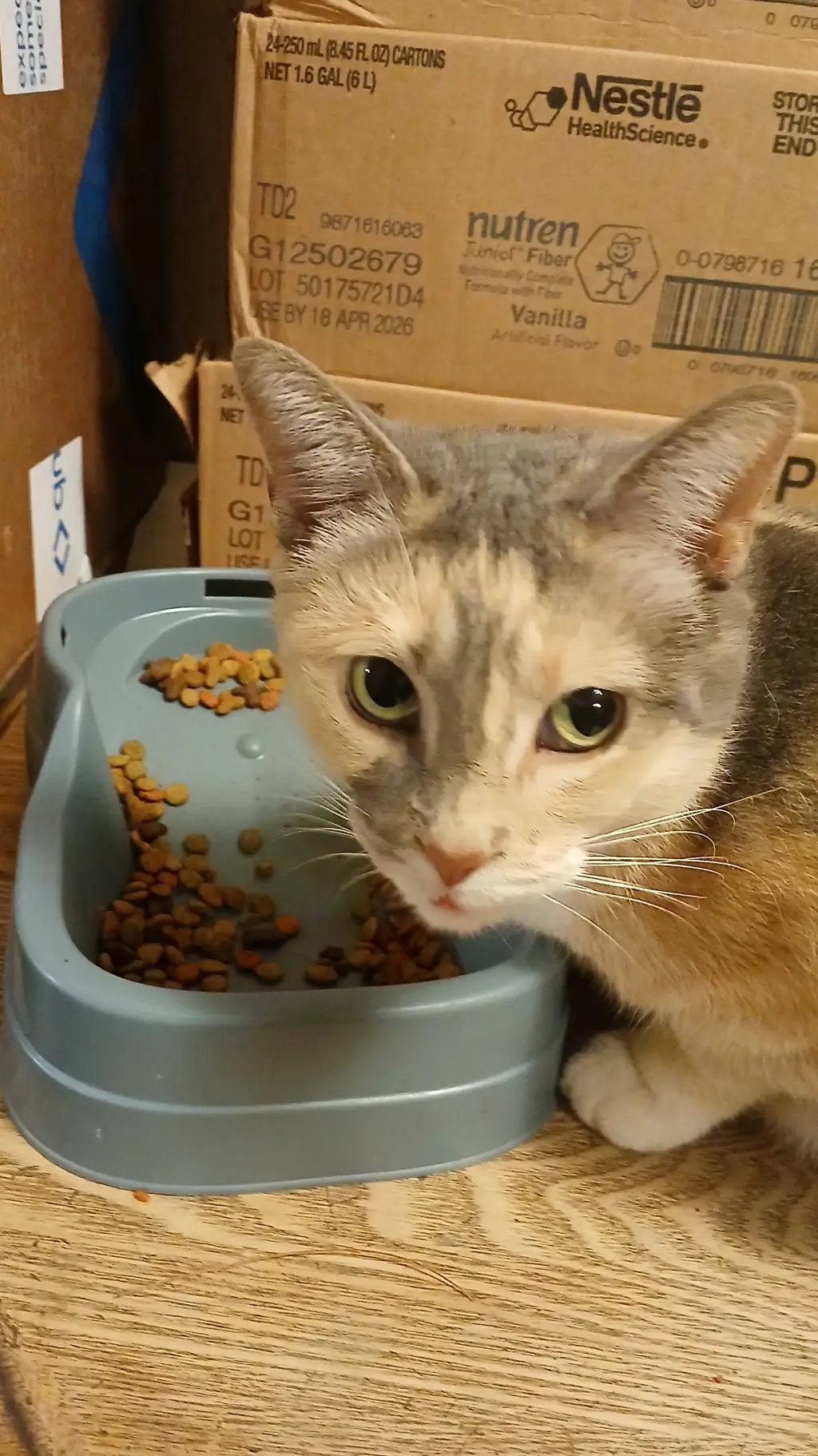 ai character: Peaches  background