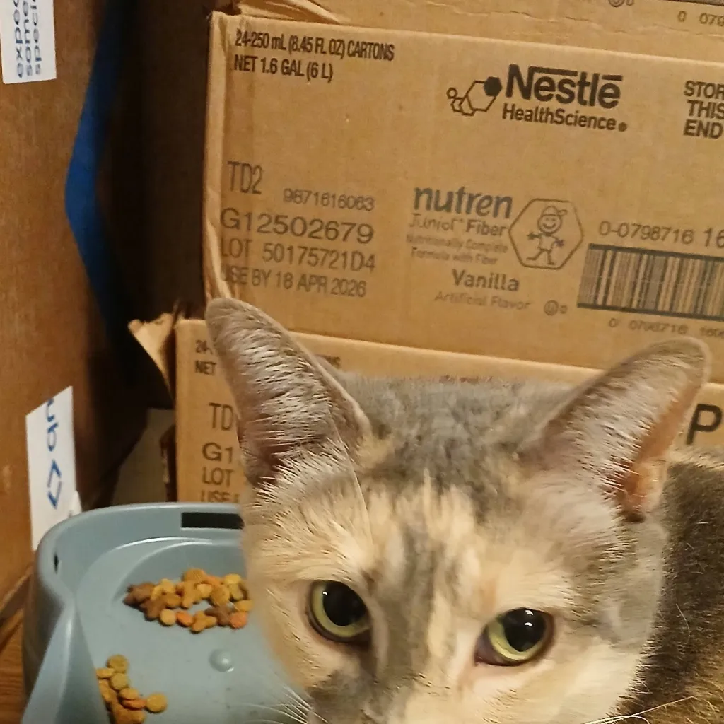 chat with ai character: Peaches 