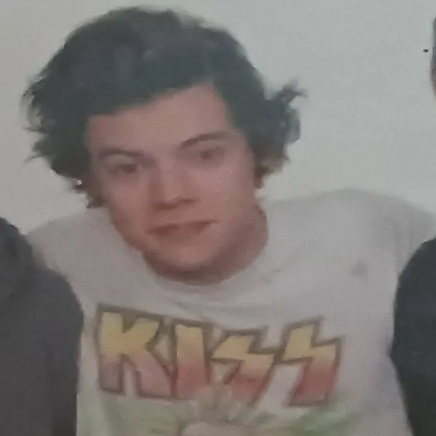 chat with ai character: One Direction Char