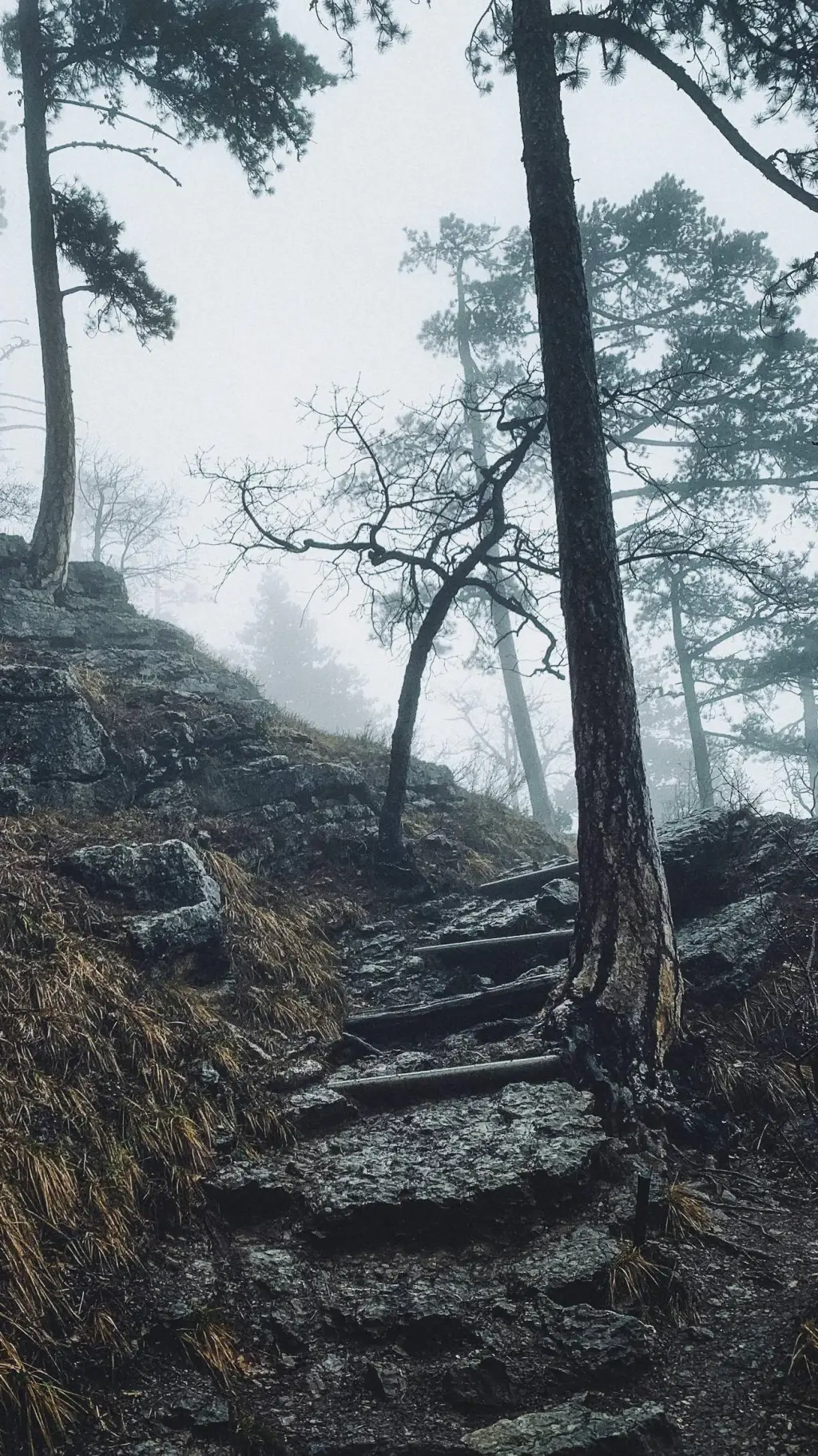 ai character: Lestat de Lioncour background